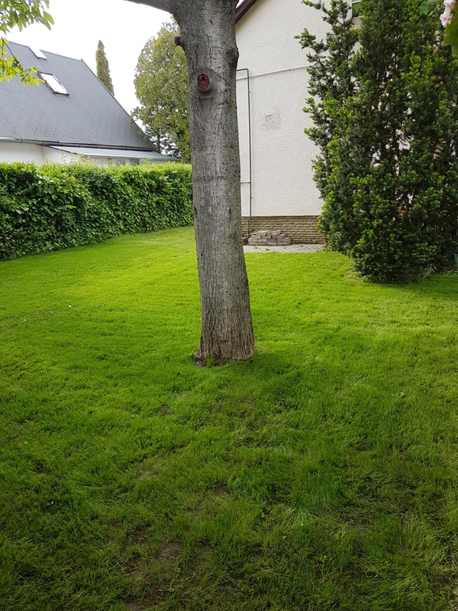 Csalad-Barat Apartman Balatonlelle Exteriör bild